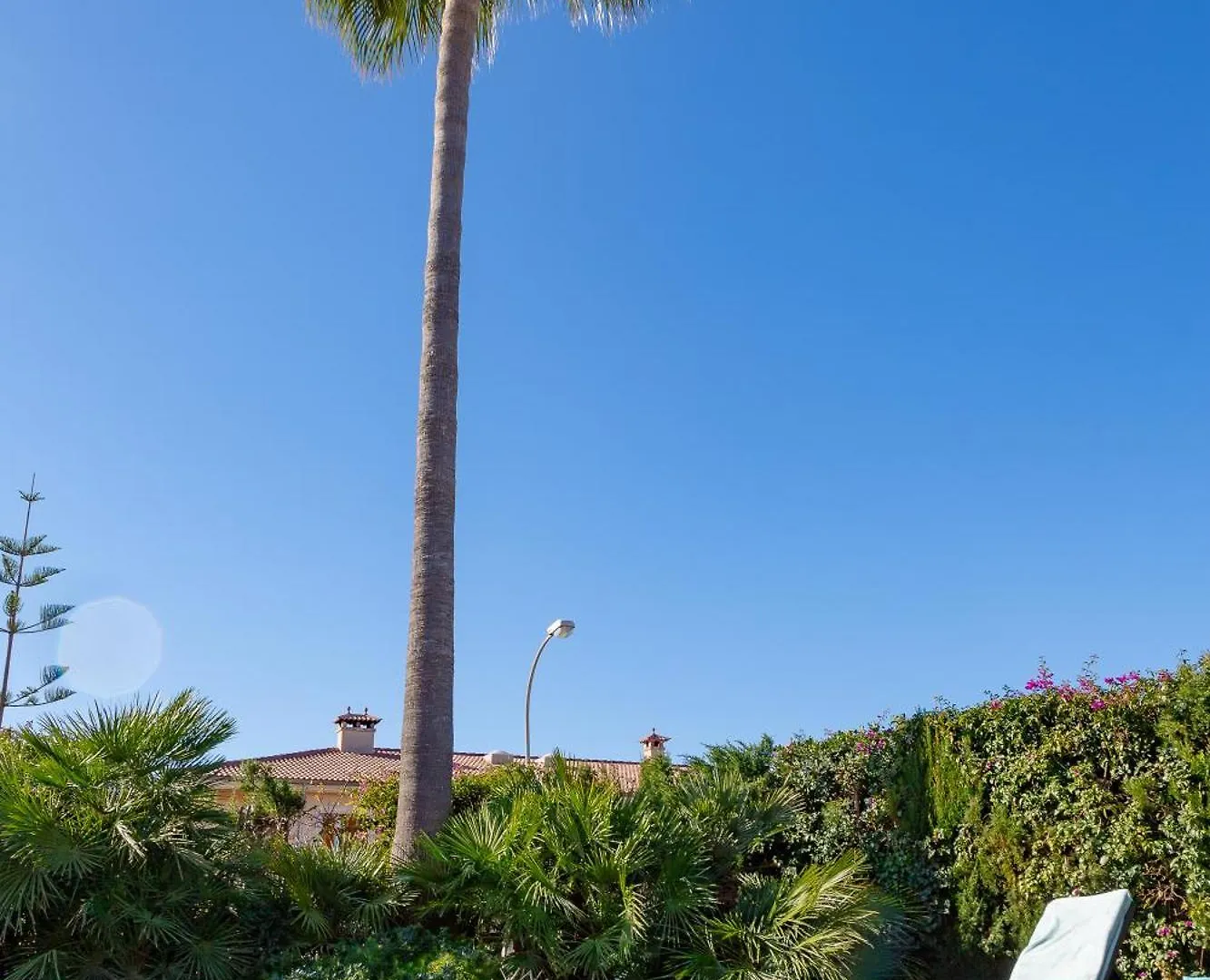 Villa Palmera Palma de Mallorca